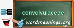 WordMeaning blackboard for convolvulaceae